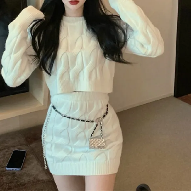 2 Pcs Women's Long Sleeve Solid Color Skirts Set 469446
