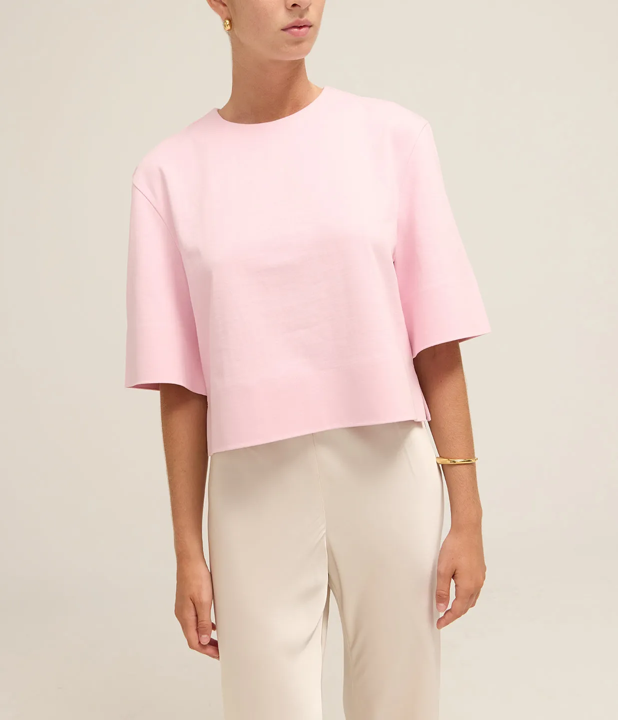 Half Sleeve Cropped Top in Pink